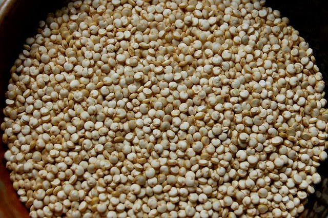 Close-up of uncooked quinoa grains
