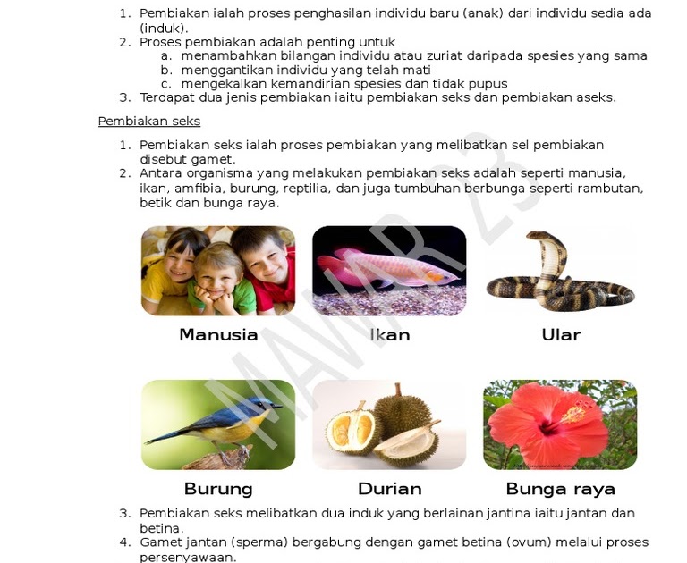 Sains Komputer Tingkatan 4 Bab 1  Sains Tingkatan 1  Bab 4 Pembiakan