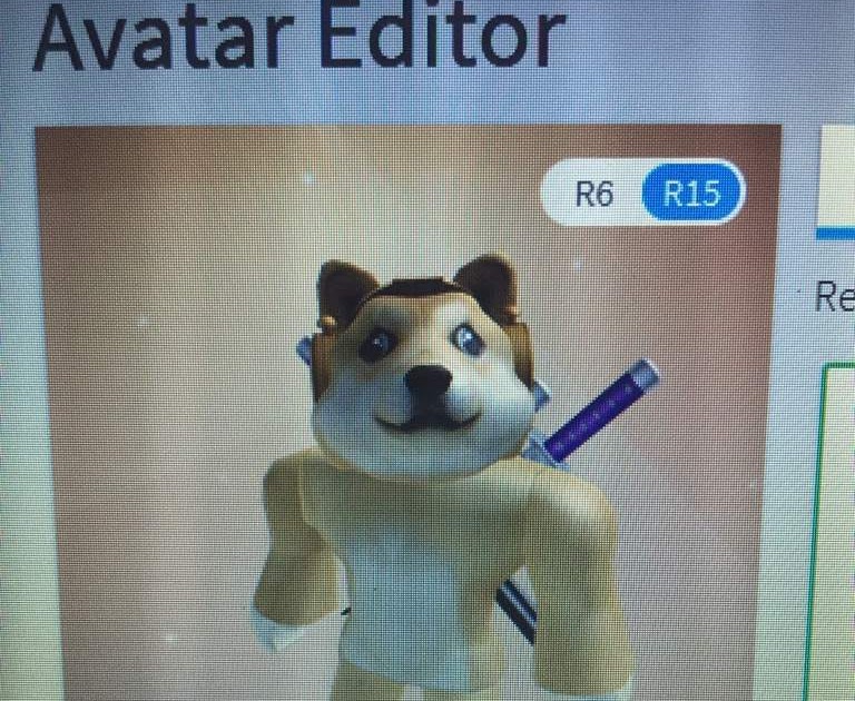 Roblox Doge Skin