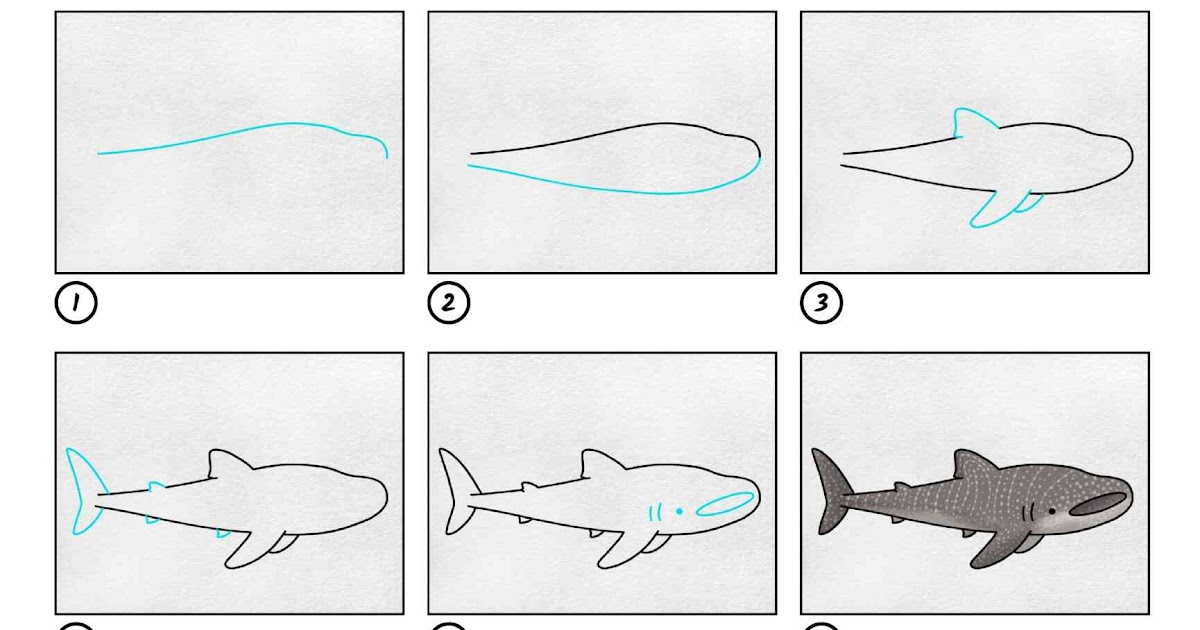 How To Draw A Whale Shark - Benson Haveracter