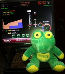 Frog Quaffer with the roast profile Frog Quaffer with the roast profile
