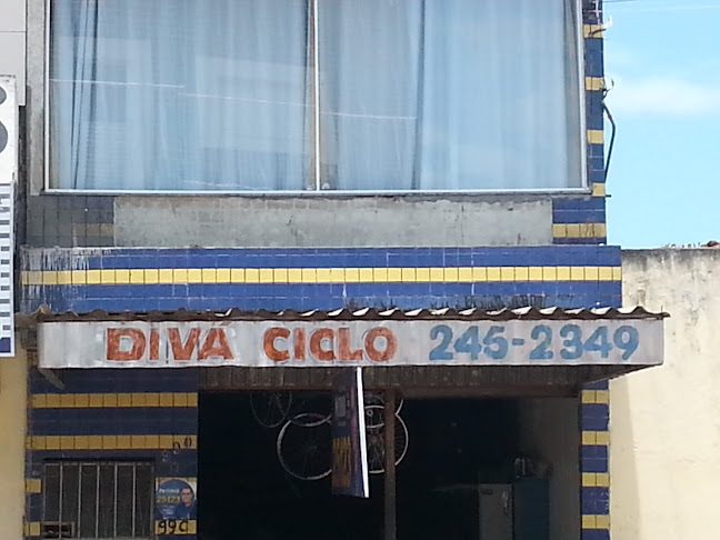 Divá Ciclo