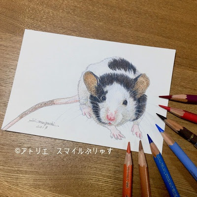 エレガントねずみ イラスト リアル 書き方 全イラスト集