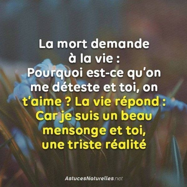 Gratuit 90 Proverbe La Vie Et La Mort FraisCitation