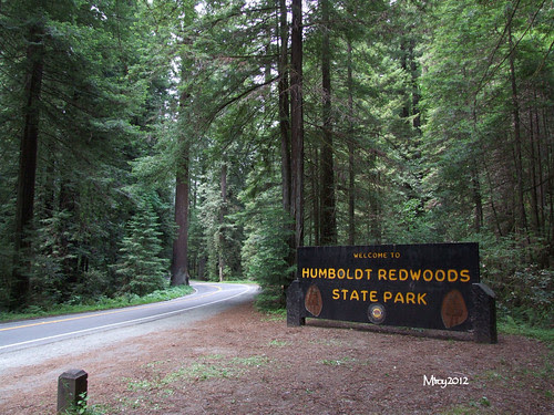 2012_05_24 roadtrip humboldt 125