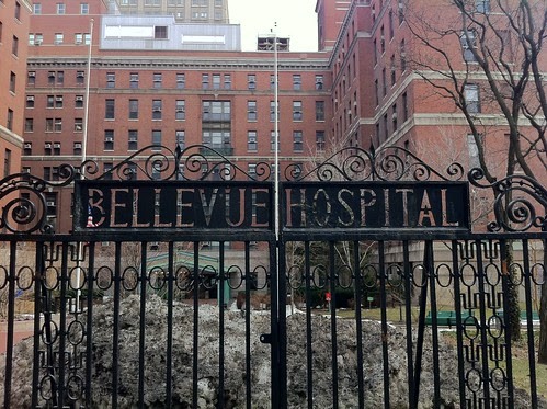 gate, Bellevue Hospital