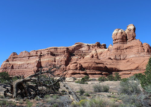 To Behold the Beauty: Canyonlands Needles District: The Entrance