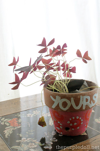 Potted Plant