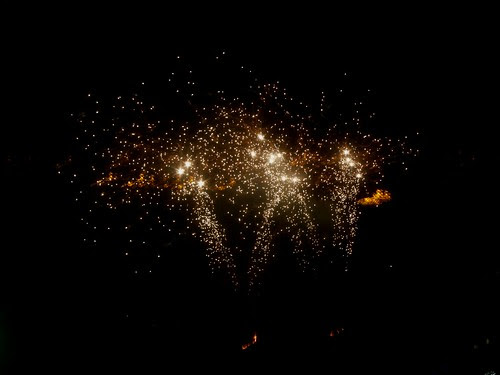 Liverpool Sefton Park Fireworks 2010