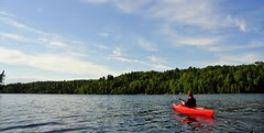 kayak in Saint John river
