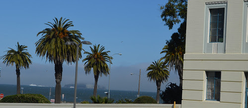 Palms of Treasure Island