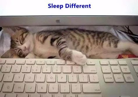 Microsoft Keyboard Goes To Sleep - MSOFTO