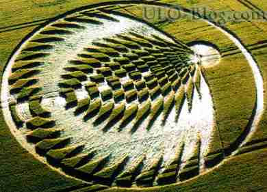 Αγρογλυφικά (Crop Circles) Αγρογλυφικά (Crop Circles)