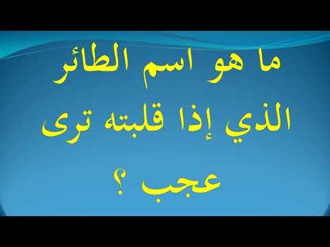 من هو الذي يغسل وجهه ولا يمشط شعره Malayanof