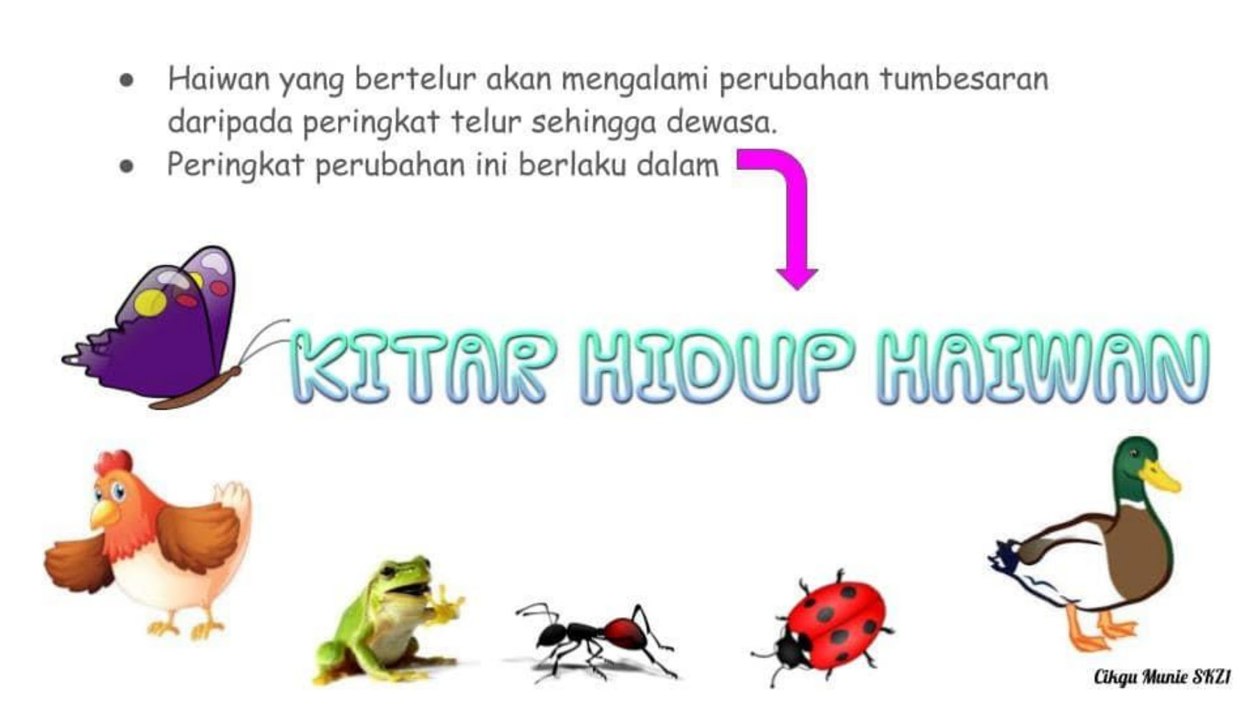 Interactive worksheets by rosalinda1097  sains tahun 2 cara haiwan