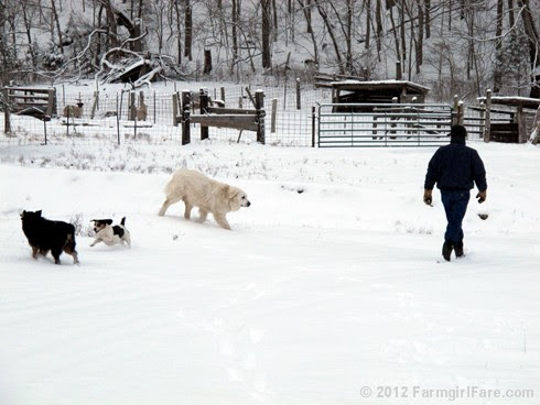 Snow dogs 6 - FarmgirlFare.com