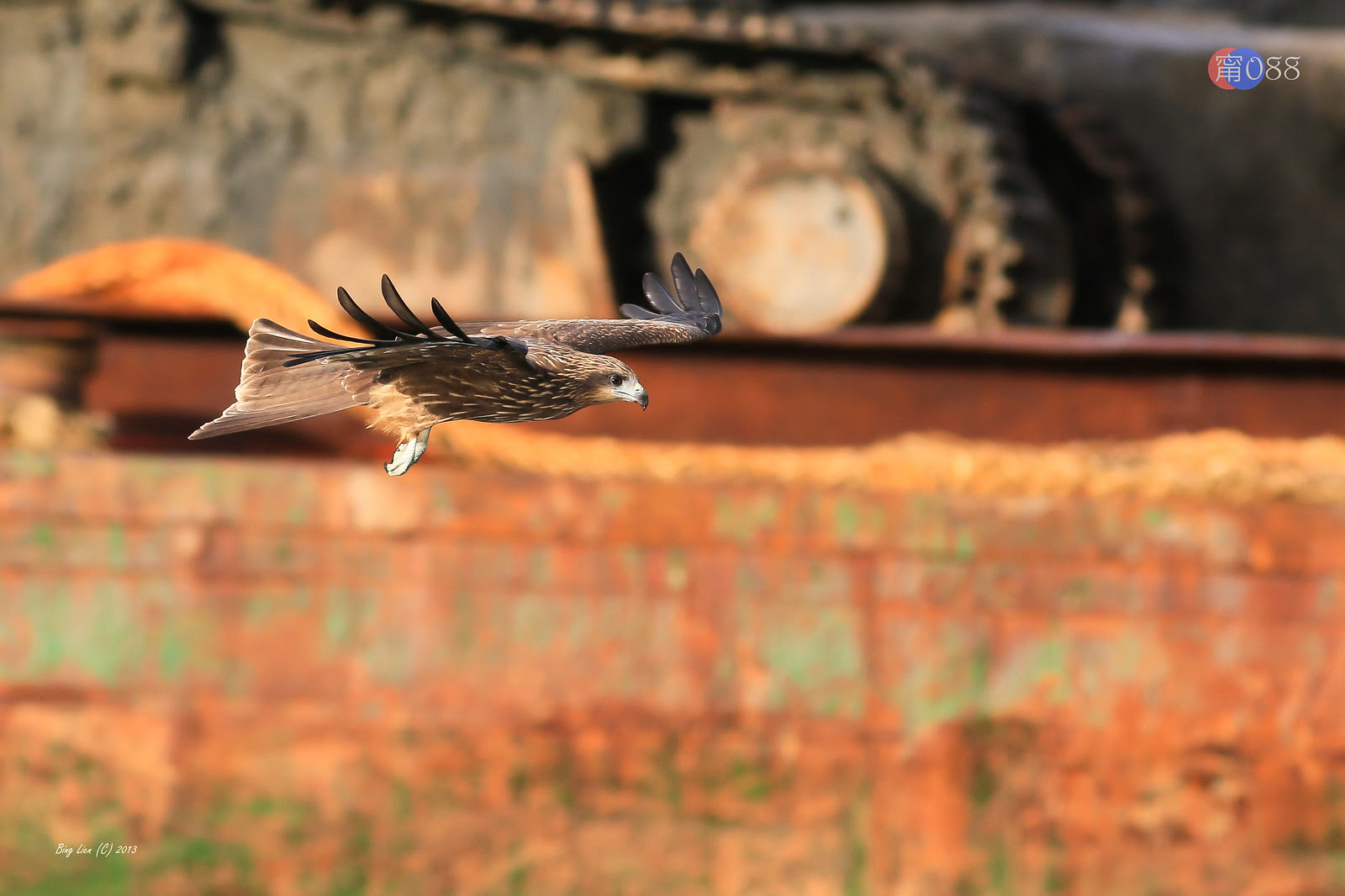 WATER_BING6848_LR