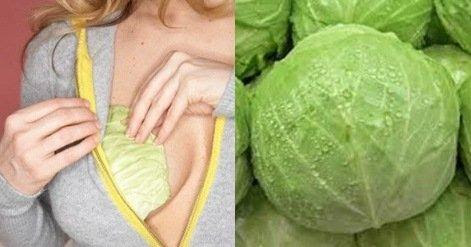 NEW TREND: Cabbage Leaves on Breasts to Soothe Stress and Pain