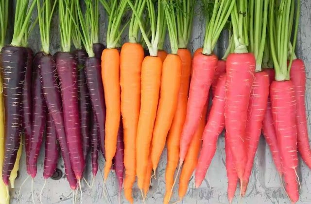 सर्दियों में गाजर खाने के 10 अचूक फायदे 