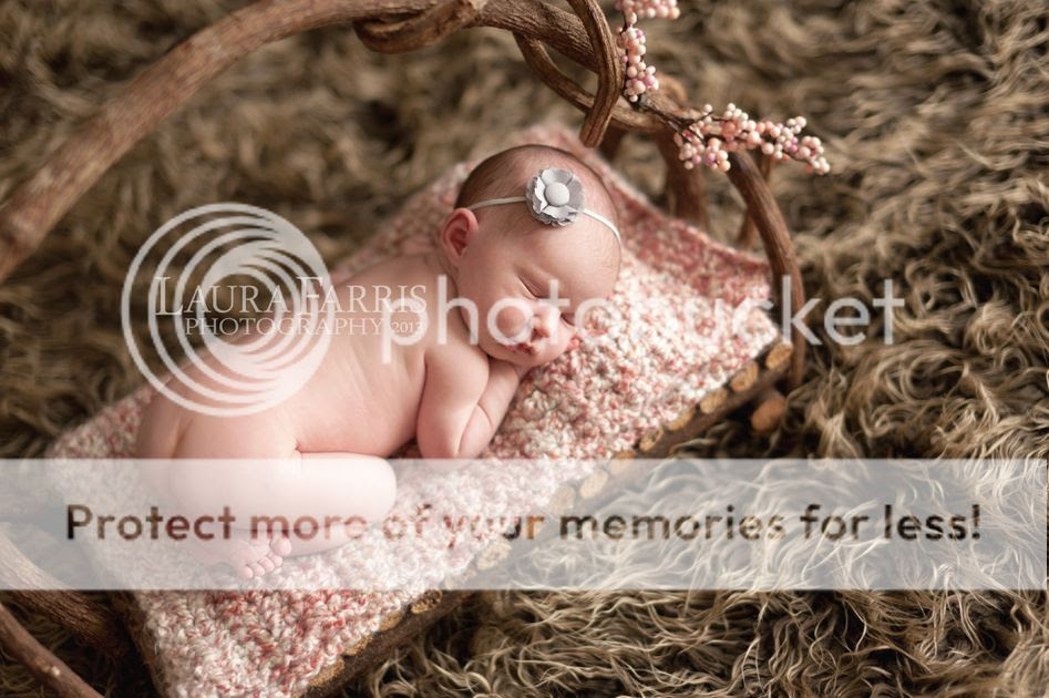  photo meridian-idaho-newborn-baby-photographers_zps44ee501d.jpg