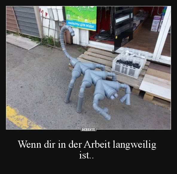 Lustige Sprüche Arbeit Kostenlos Pin von NicÓle WeiSke auf Sprüche