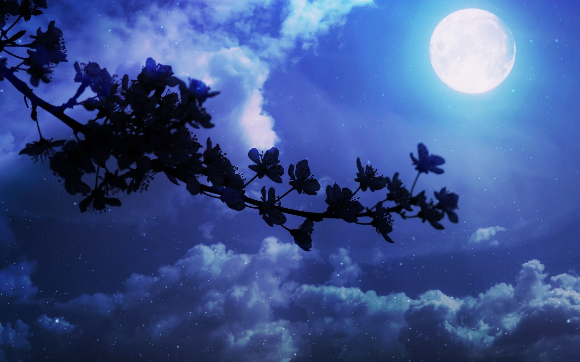 When The Night Falls By Moonlight Free Online 29+ Moonlight Night Nature Wallpaper Hd For Mobile - Basty Wallpaper