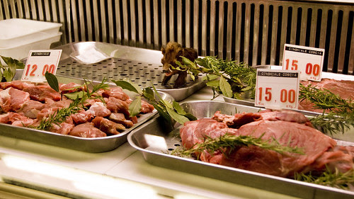 Cinghiale