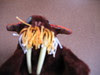 Wilt, winged walrus, face