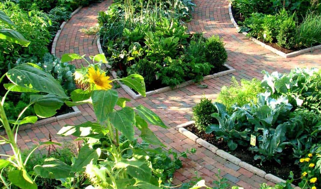 Front Yard Vegetable Garden Design Ideas | See More...