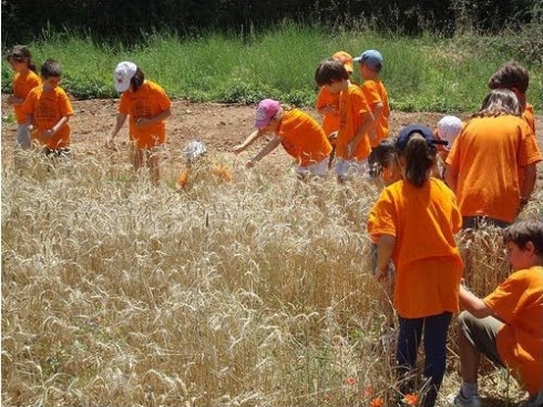 Activitat a l'Espai Natura / UNNIM Imatge