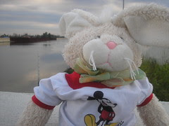 PA210005.JPG