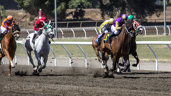 Race six, Sacramento card at the California State Fair