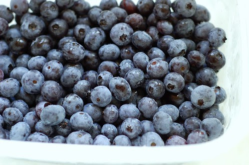 Blueberries from Grieg Farms by Eve Fox, Garden of Eating blog, copyright 2012