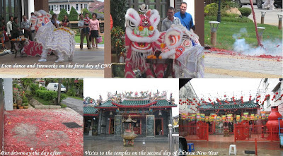 CNY Lion Dance Chinese new year lion dance 2008