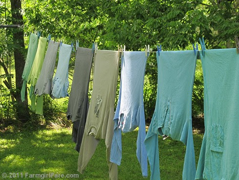 color coordinated laundry line - Farmgirl Fare