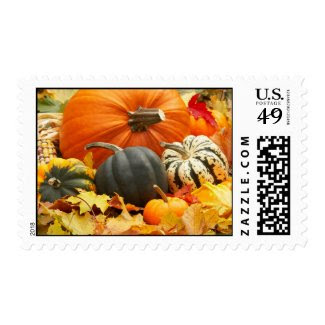 Autumn Pumpkins & Leaves postage