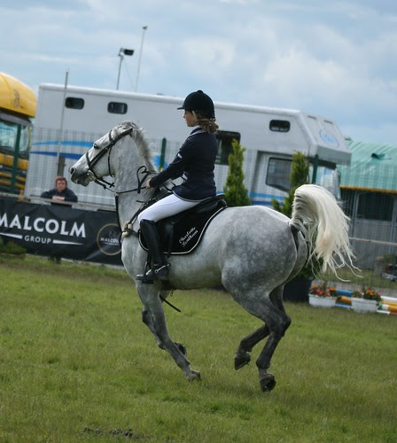 Showjumping