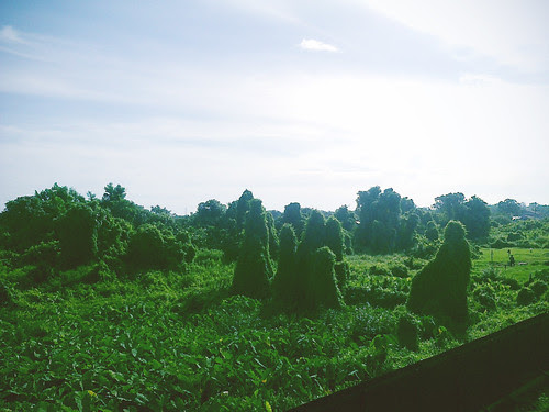 view