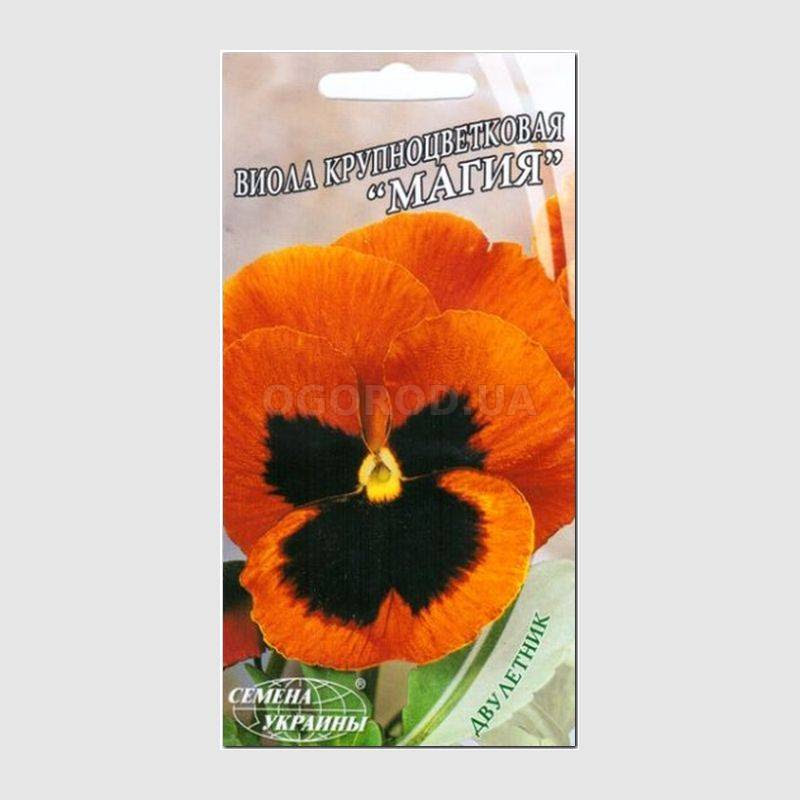 Вилан: виола пастельная посев