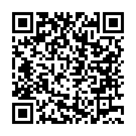 Generador de Códigos QR Codes