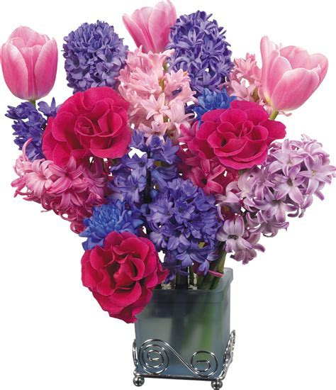 Flowers in vases photos Just another WordPress.com site Flowers in vases photos Just another WordPress.com site