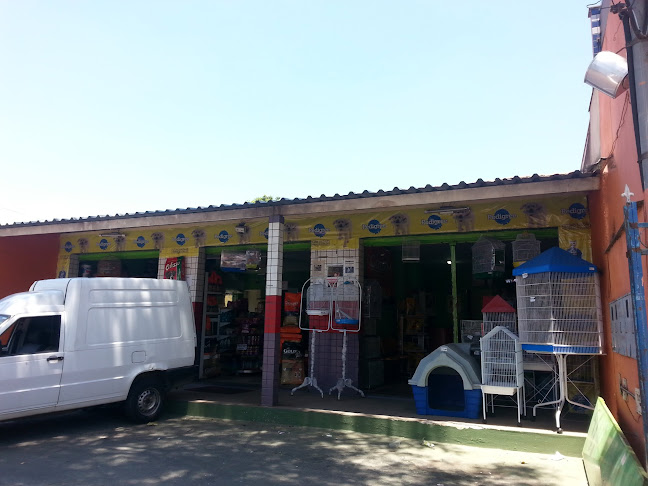 Avaliações sobre Centro Veterinário Vila dos Bichos em Belo Horizonte - Veterinário