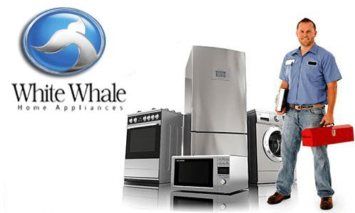 توكيل وايت ويل | White Whale