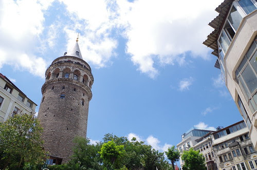 IMGP2088