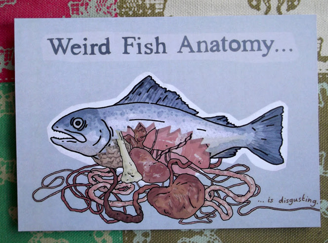 weirdfishanatomy