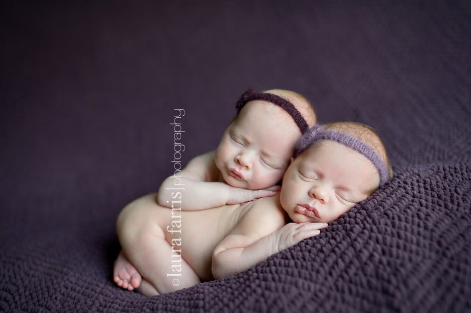 boise newborn photographer