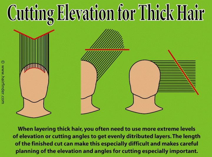 Technique for layering thick hair and hair cutting elevation