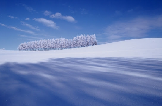 すべての花の画像 Hd限定壁紙 雪景色 北海道