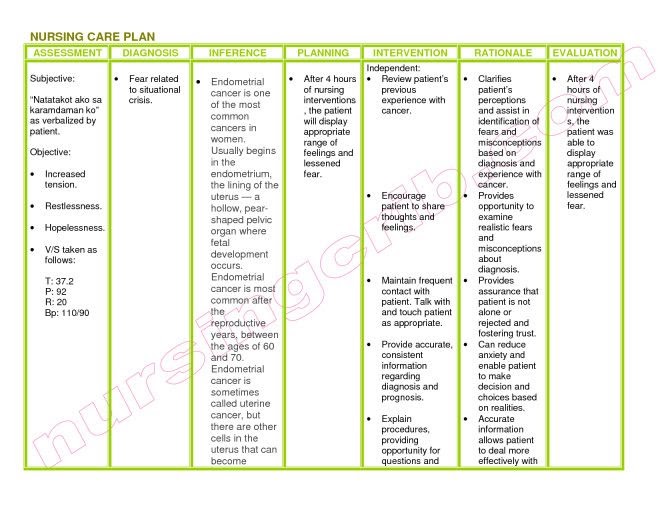 Nanda Nursing: 18+ Nanda In Nursing