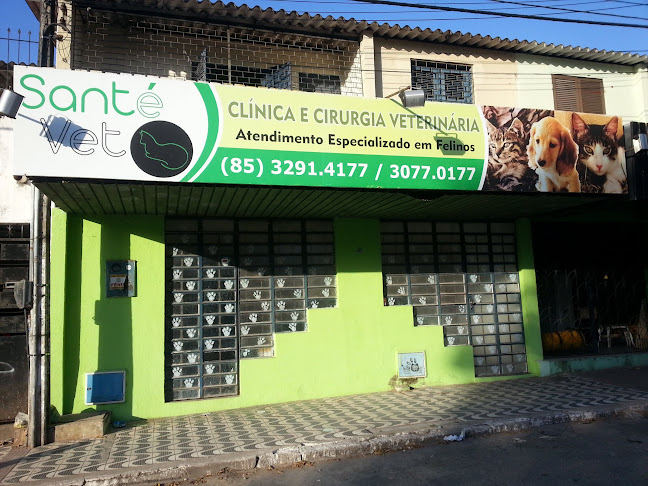 Santé Vet Clínica e Cirurgia Veterinária - Fortaleza
